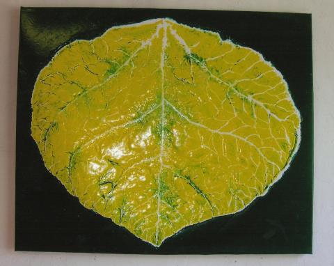 Leaf 1