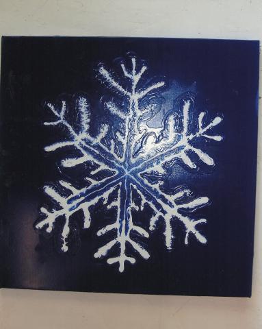Snowflake 1