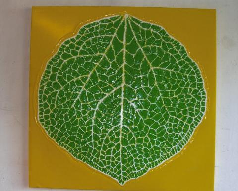 Leaf 5