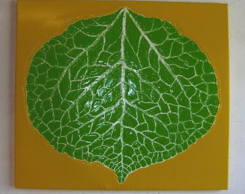 Leaf 6