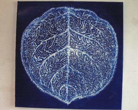 Leaf 10