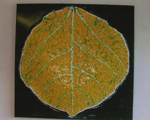 Leaf 9