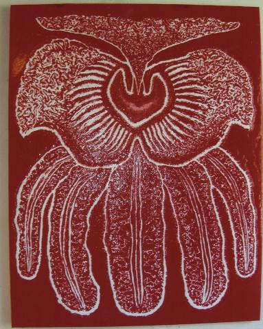 Orchid 1
