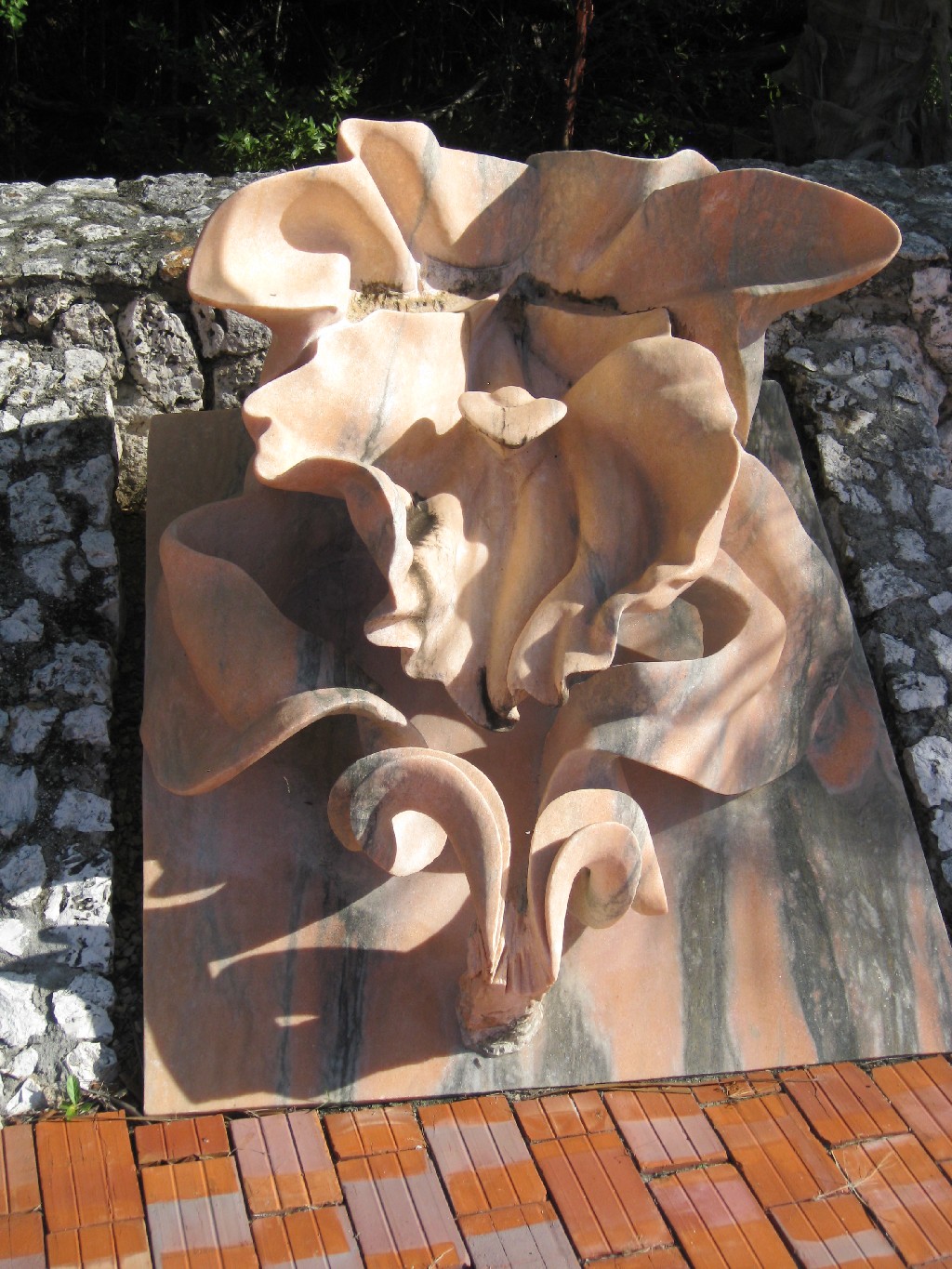 Orchid - 50x30x30