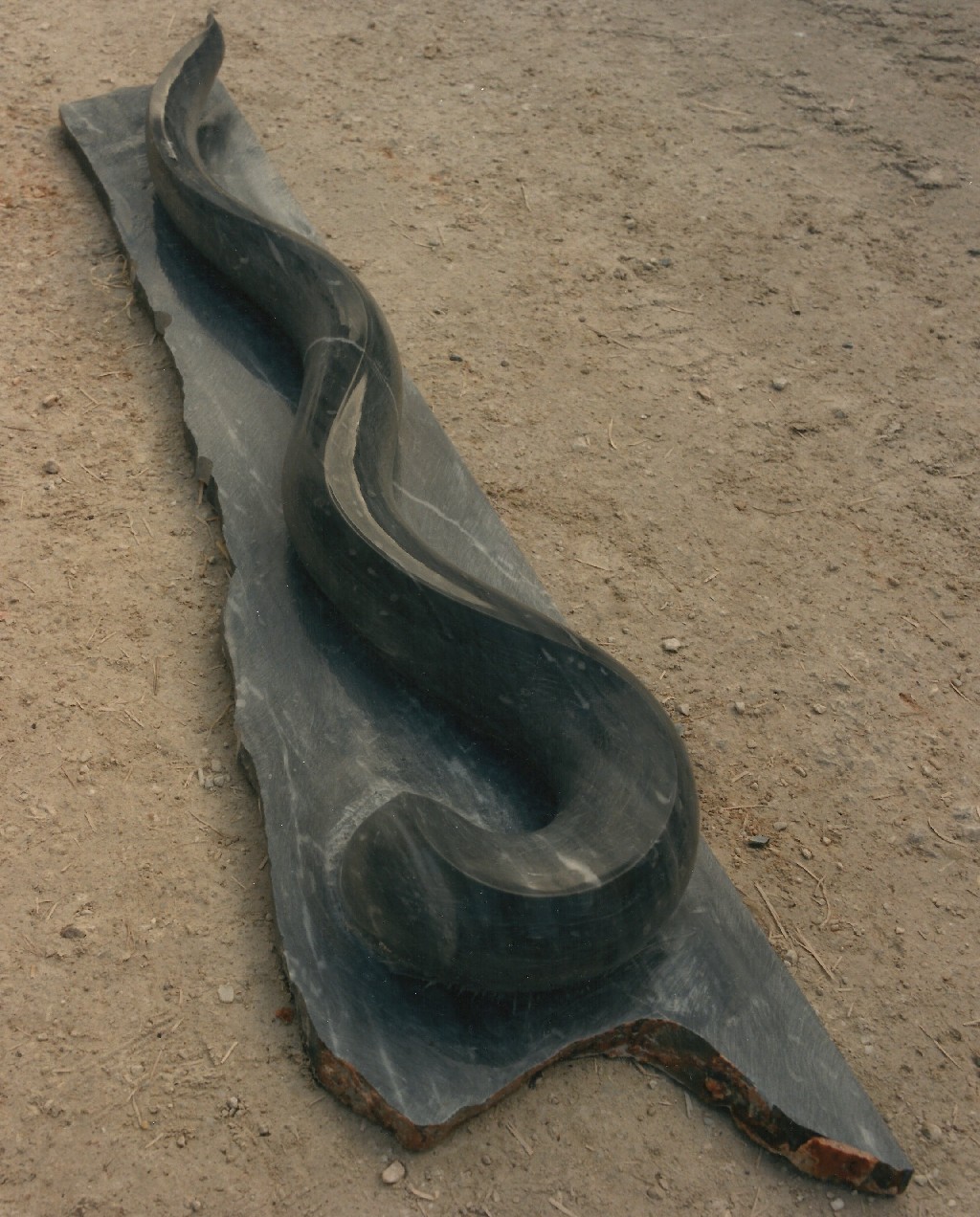 Seasnake - 40x12x8