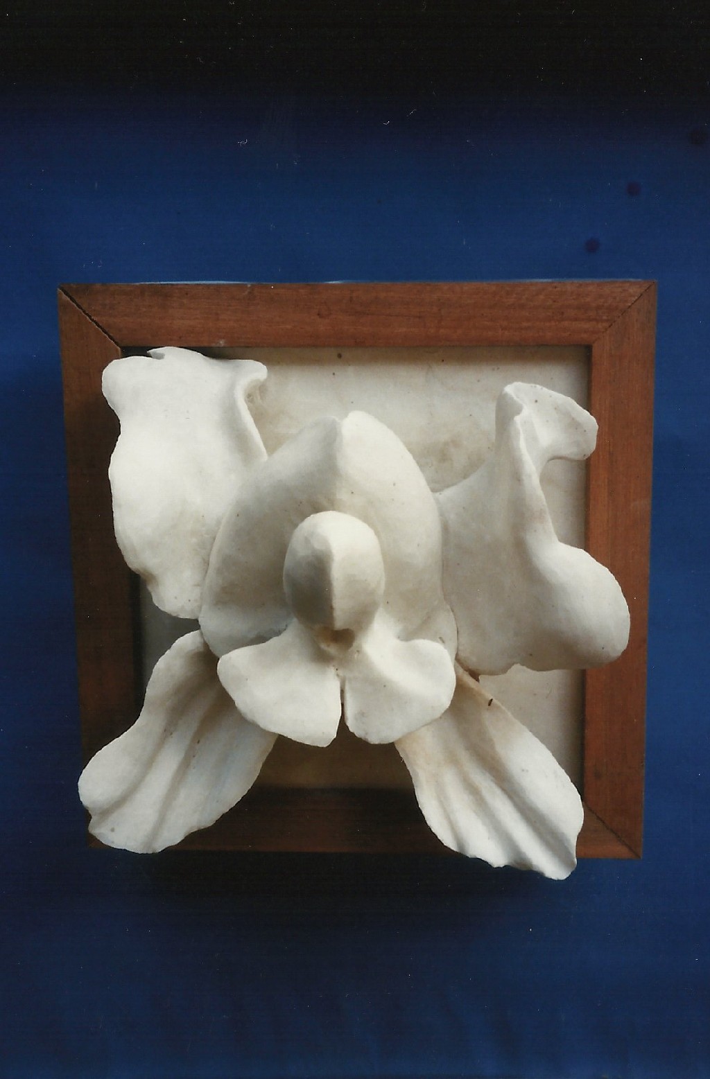 White Orchid - 16x16x10