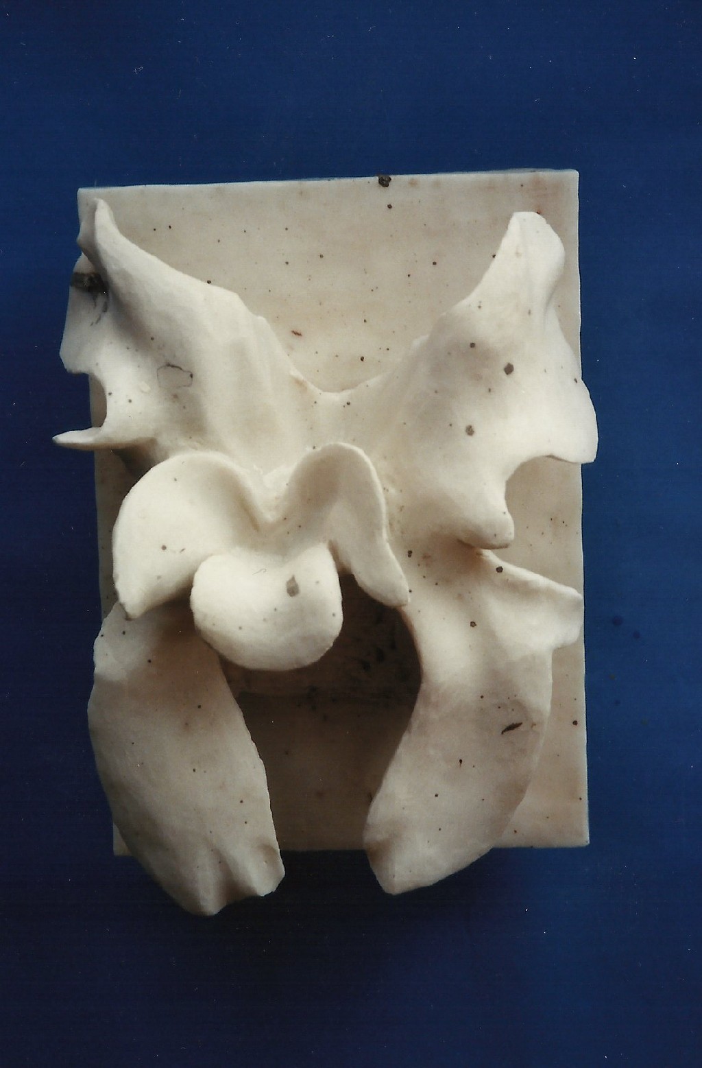White Orchid - 20x16x10