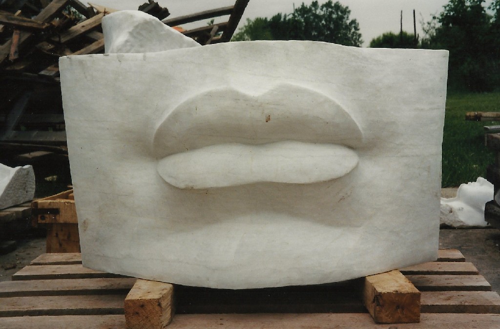 Bacia Mi - 40x60x20