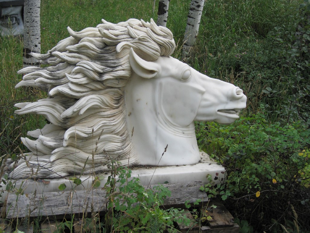 Horse 60x38x20