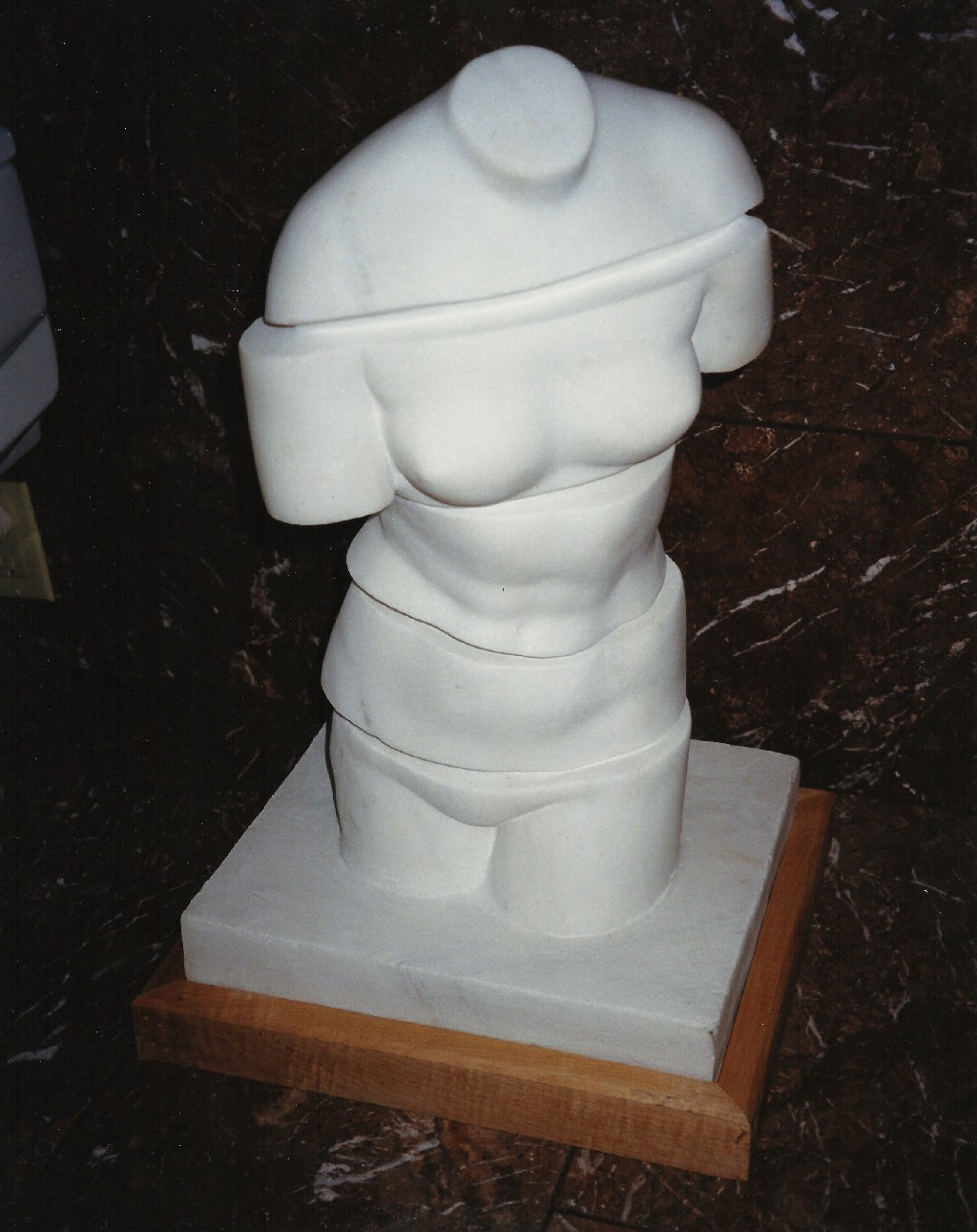 Twisted Torso - 22x13x8